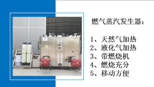 天然氣產蒸汽設備 門頭店面供暖用蒸汽發生器